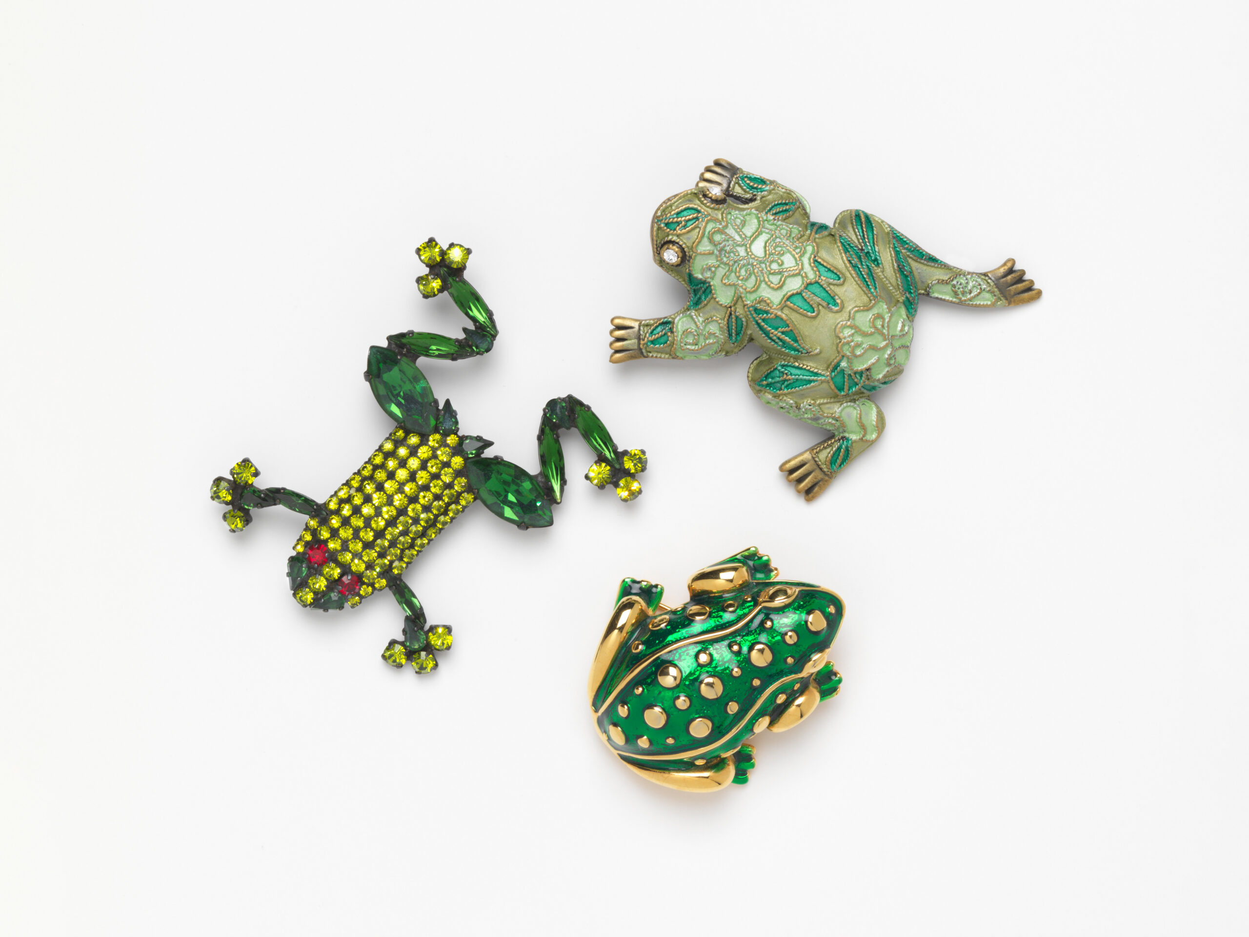Pin on Snakes, frogs and lizards